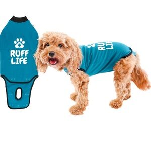 🐾 Dog Recovery Surgery Suit BellyGuard Recovery Suit for Dogs Female and Male L